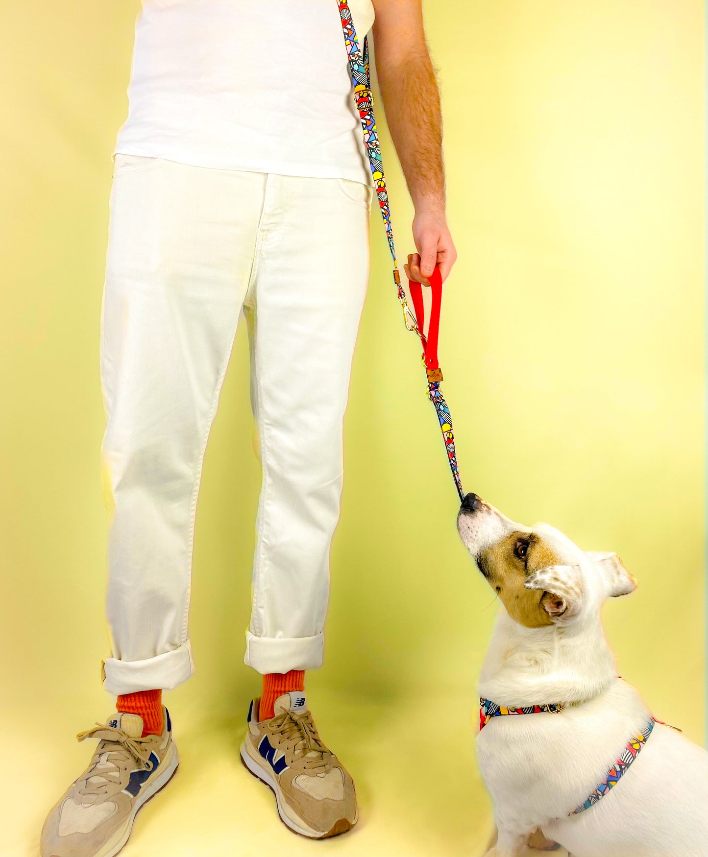 POP ART Multifunctional Handmade Hands-Free Leash and Harness