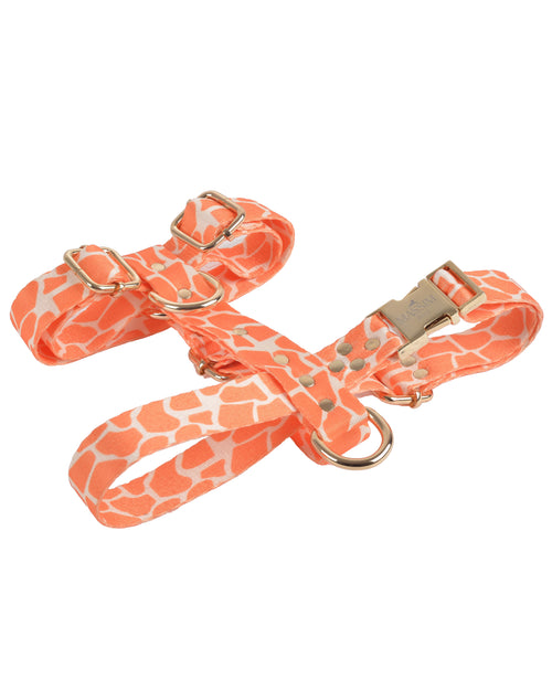 PUMPKIN GIRAFFE Handmade H Harness